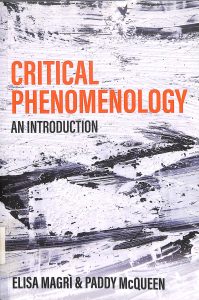 Critical phenomenology an introduction