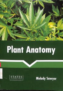 Plant anatomy