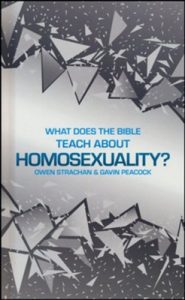 What Does the Bible Teach about Homosexuality A Short Book on Biblical Sexuality (Sexuality And Identity)