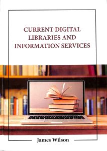 Current digital libraries and information services